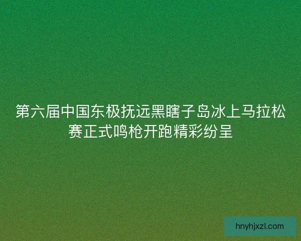第六届中国东极抚远黑瞎子岛冰上马拉松赛正式鸣枪开跑精彩纷呈